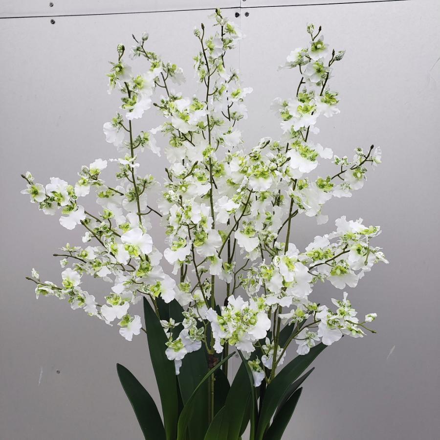 オンシジュウム 6f 白緑 造花 高約90 幅40 光触媒 Onshijyumushirmidoriaa アイフラワー グリーン 通販 Yahoo ショッピング
