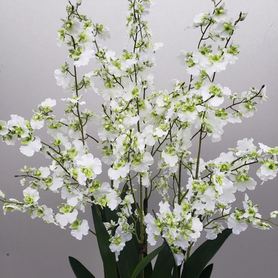 オンシジュウム 6f 白緑 造花 高約90 幅40 光触媒 Onshijyumushirmidoriaa アイフラワー グリーン 通販 Yahoo ショッピング