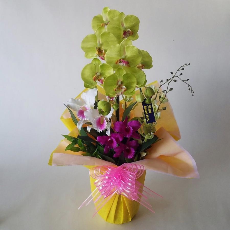 胡蝶蘭Ｍグリーンアレンジ　B11（高60 cm）