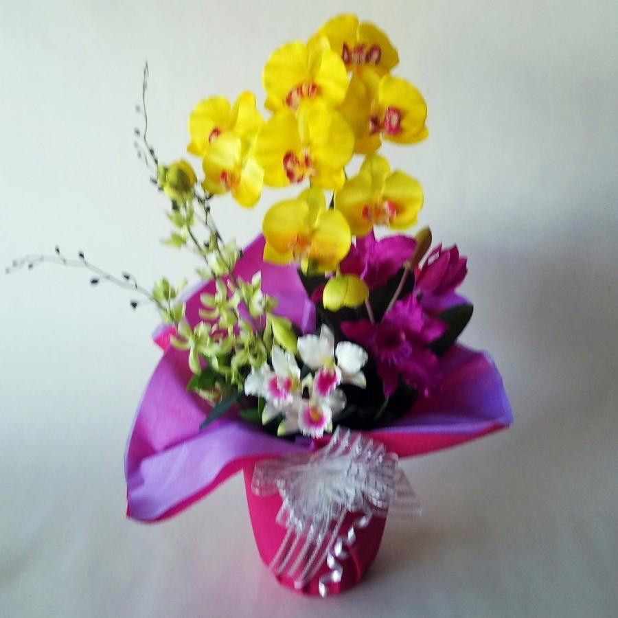 胡蝶蘭Ｍ黄アレンジ　B12（高60 cm）