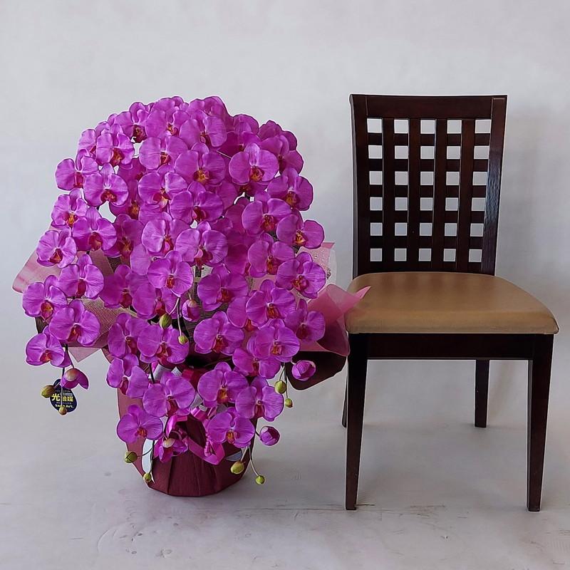 胡蝶蘭 ＤＸロング 赤紫 ５Ｆ ギフト 高80cm×巾50ｃｍ オリジナル