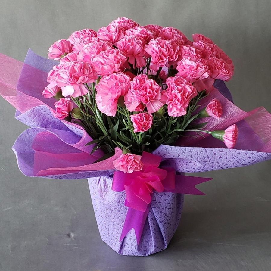 母の日カーネションアレンジ光触媒 割引 母の日カーネーションプレート