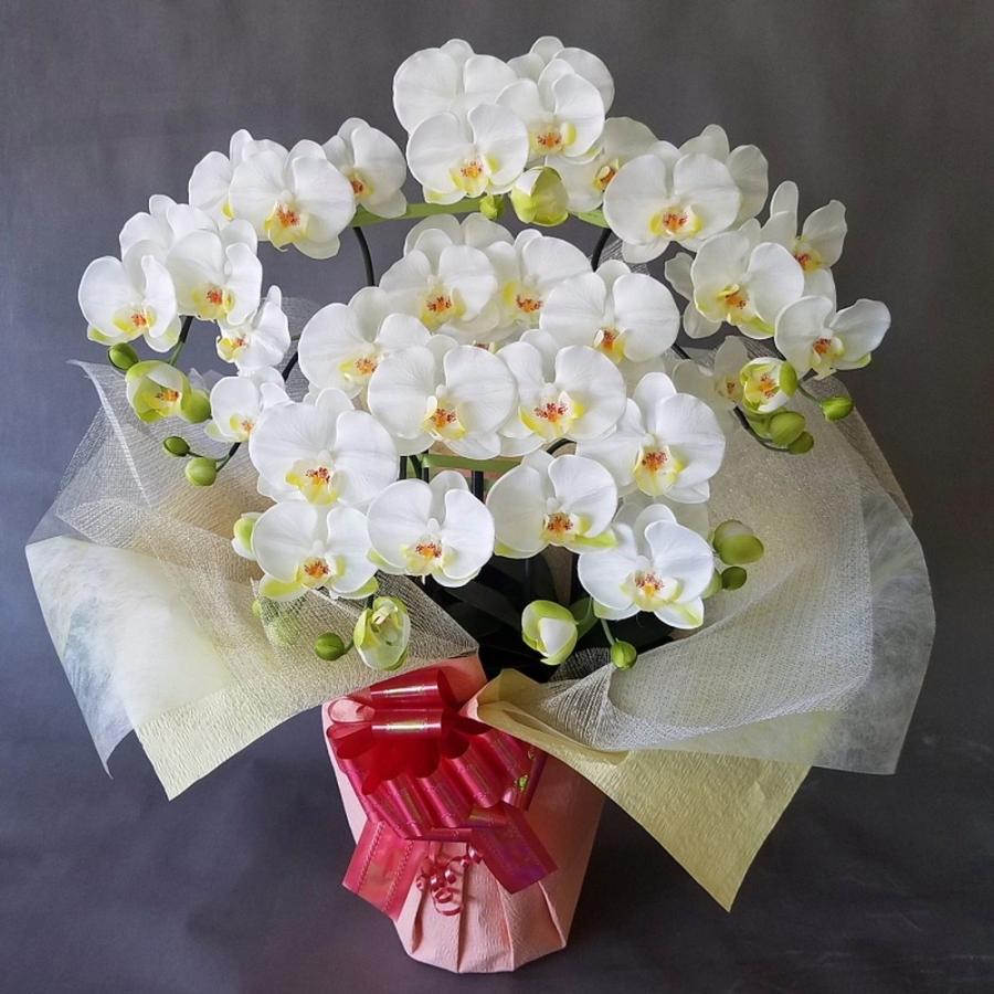 胡蝶蘭M 白黄（高７０ｃｍ巾４０ｃｍ）オリジナル、光触媒、造花，結婚