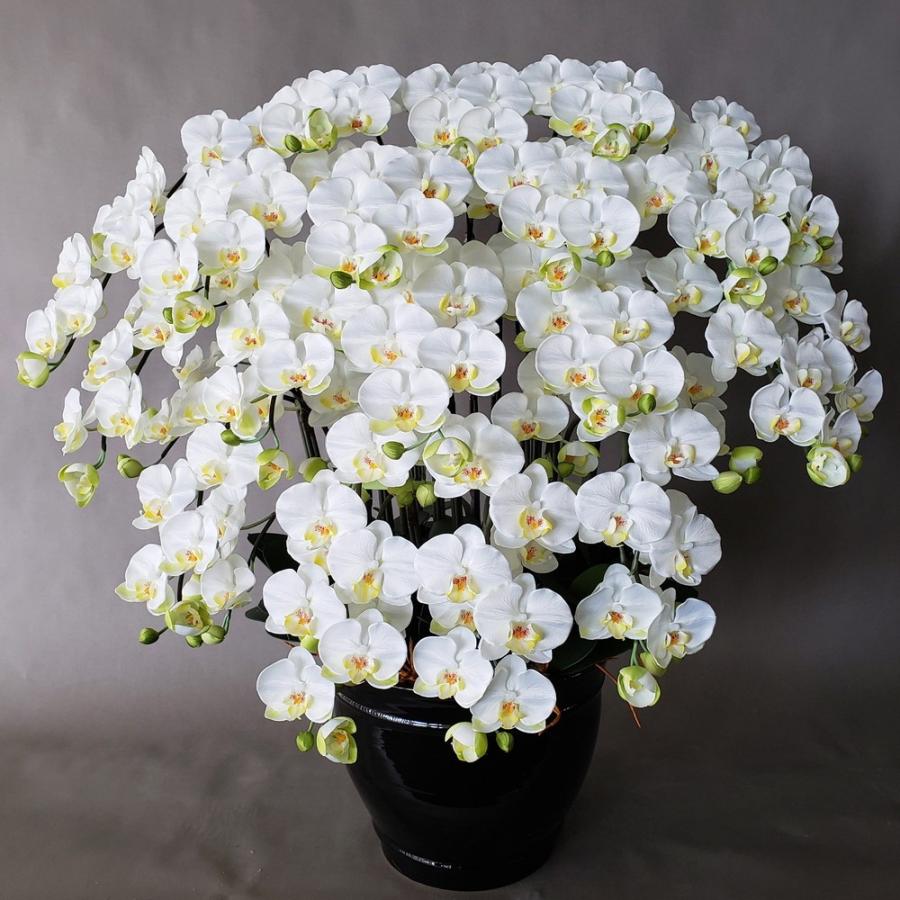 胡蝶蘭m白黄本立 高100ｃｍ巾90ｃｍ 光触媒 造花 開花輪１６０輪 蕾１００輪大型サイズでホテルフロント 応接室 等最適 胡蝶蘭 M白黄本立 高100ｃｍ巾90ｃｍ 光触媒 造花 開花輪１６０輪 蕾１００輪大型サイズでホテルフロント 応接室 等最適 アートフラワー鉢花