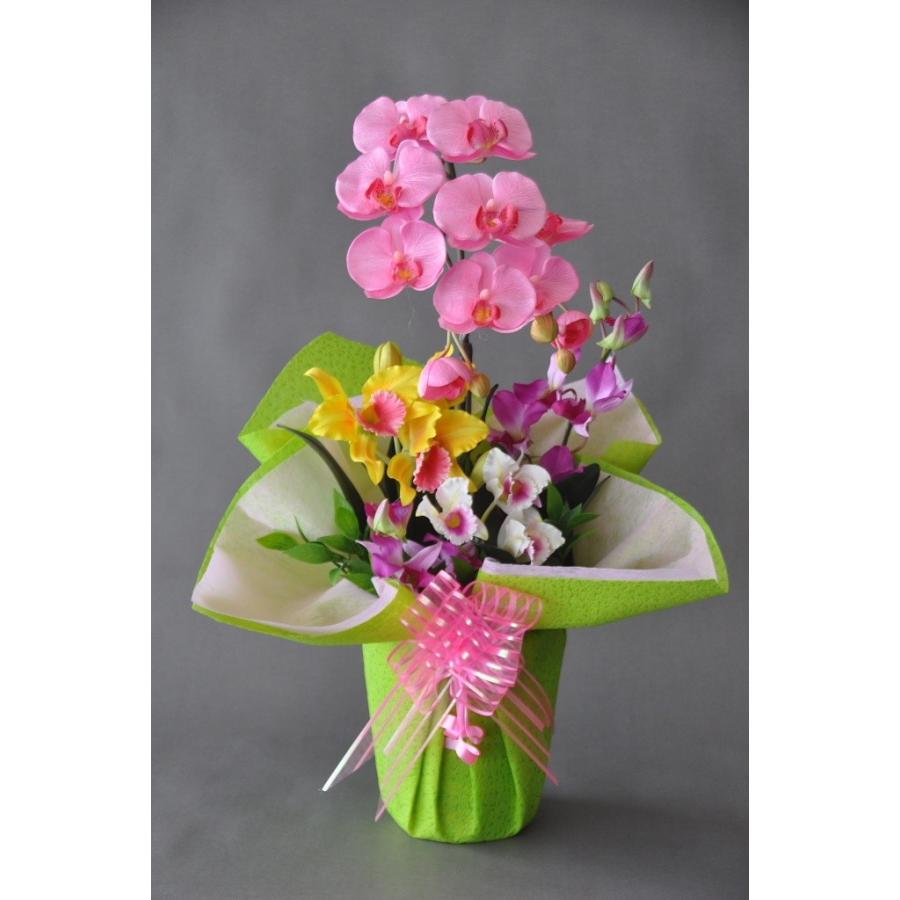胡蝶蘭Ｍ　アレンジーＡ４（高さ　60cm ）