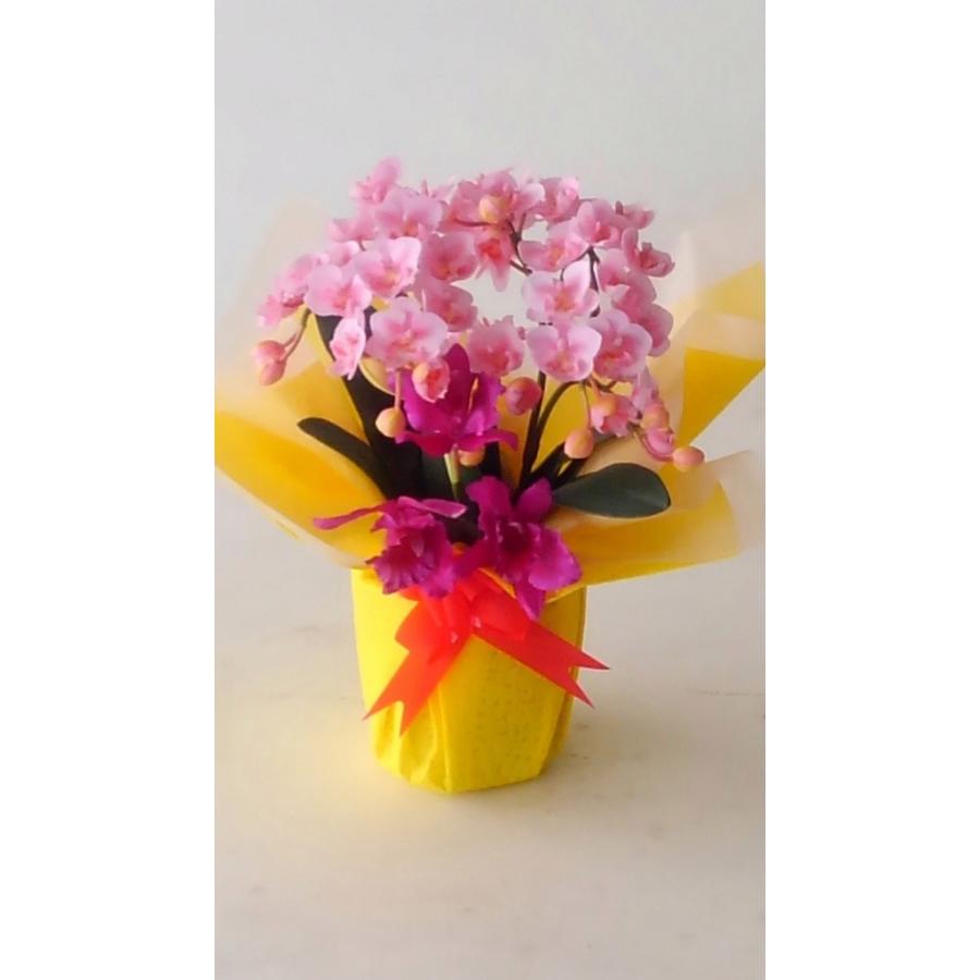 胡蝶蘭ミニピンク カトレアｓｓ赤紫 高さ３５ｃｍ この商品はオリジナル アレンジメントです 胡蝶蘭 カトレア 光触媒 造花 結婚祝 開店祝 御祝 Zrdwq5j85d アイフラワー グリーン 通販 Yahoo ショッピング