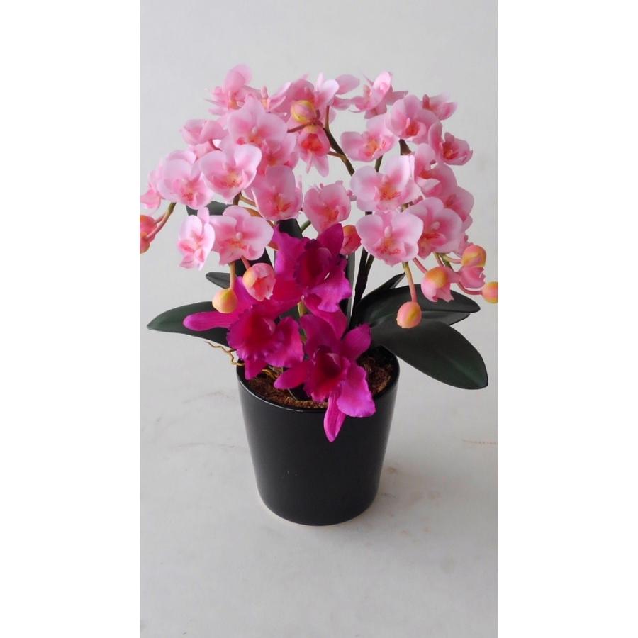 胡蝶蘭ミニピンク カトレアｓｓ赤紫 高さ３５ｃｍ この商品はオリジナル アレンジメントです 胡蝶蘭 カトレア 光触媒 造花 結婚祝 開店祝 御祝 Zrdwq5j85d アイフラワー グリーン 通販 Yahoo ショッピング