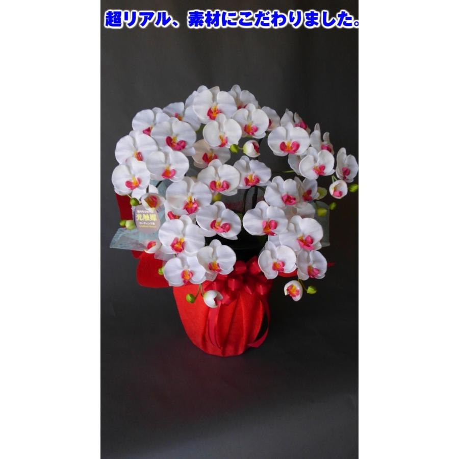 胡蝶蘭Ｍ５本白赤（高さ７０ｃｍ）オリジナルアレンジメント・胡蝶蘭・シンビジュウム・カトレア・光触媒・・造花・・開店祝。結婚祝・インテリア・御祝