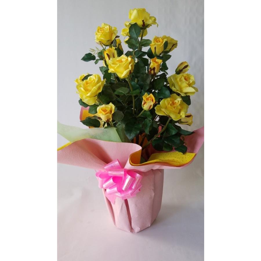 バラ大輪　黄　２株立（高さ８５ｃｍ）