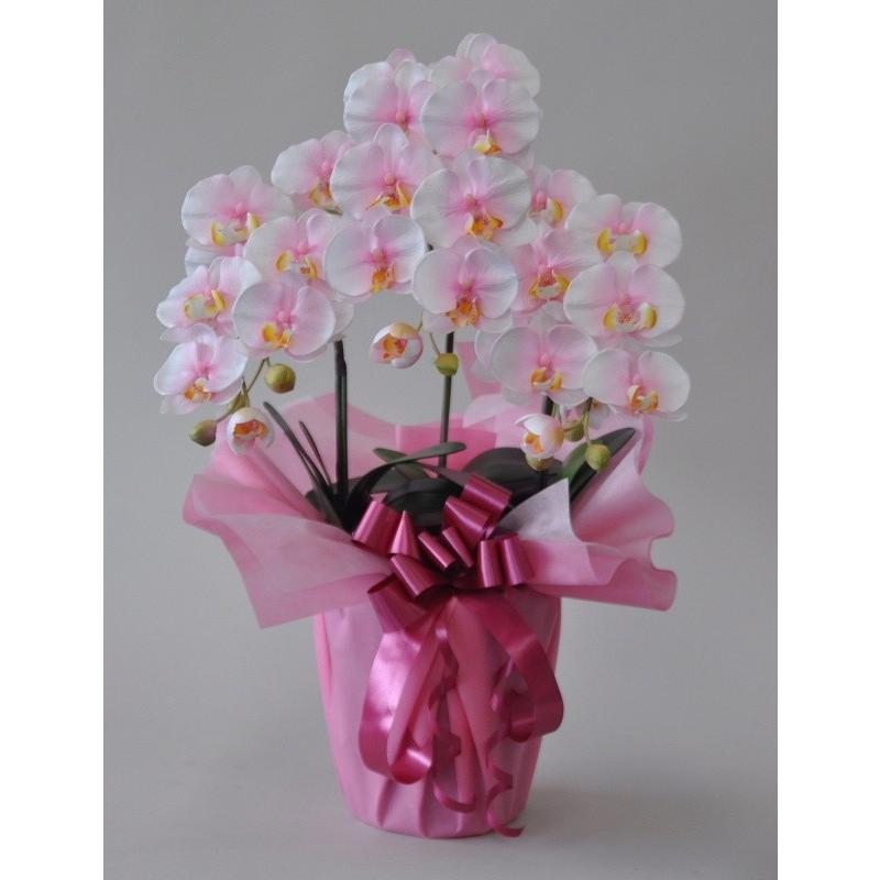 胡蝶蘭Ｍ　絞りピンク　３本（高さ６５cm）オリジナル アレンジメントです。