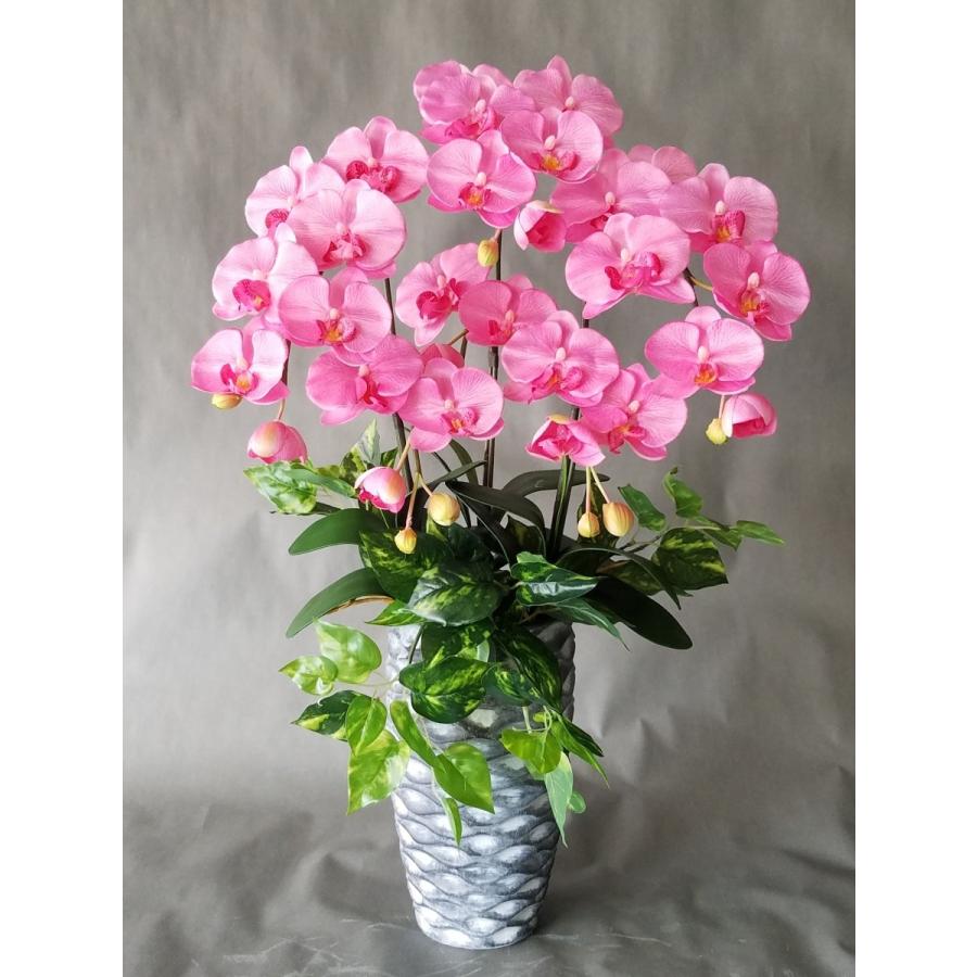 胡蝶蘭Ｍ ピンク　３Ｆ＆ポトス