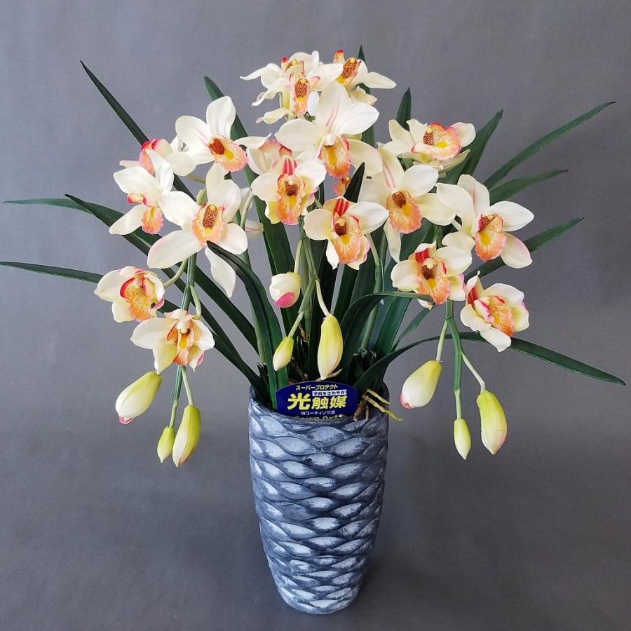 シンビジュウムＤＢピンク３本立（フアッション鉢）（Ｈ６０ｃｍ×幅３５ｃｍ）