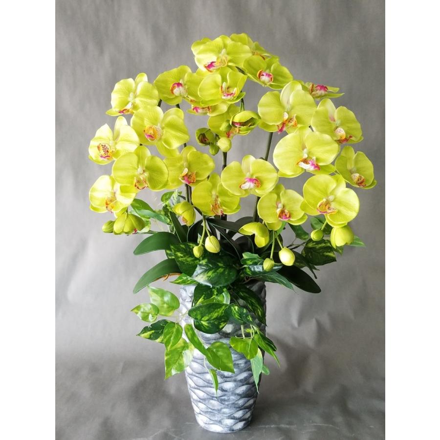 胡蝶蘭Ｍ　グリーン　３Ｆ＆ポトス