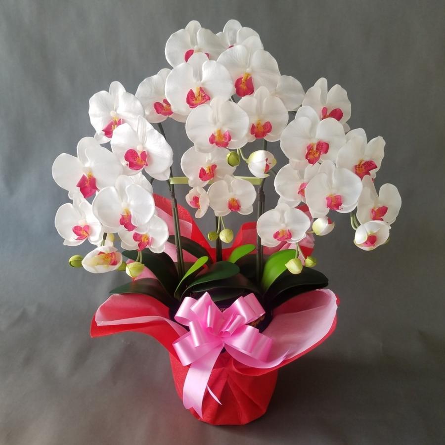 胡蝶蘭Ｍ　白赤　３本立（高さ７０ｃｍ）この商品はオリジナルアレンジメントです。