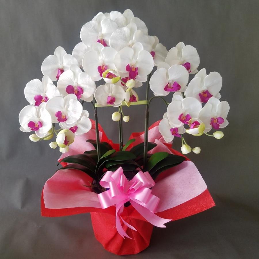 胡蝶蘭Ｍ　白紫　３本立（高さ７０ｃｍ）この商品はオリジナルアレンジメントです。