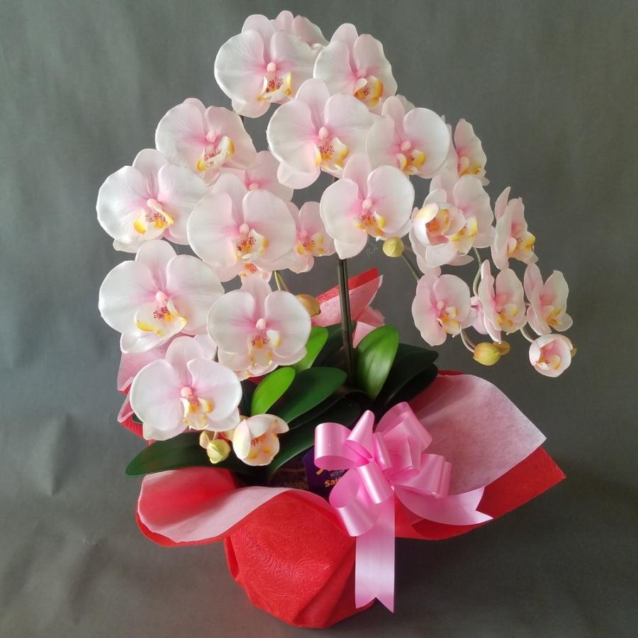 胡蝶蘭Ｍ　絞りピンク　３本立（高さ７０ｃｍ）この商品はオリジナルアレンジメントです。 胡蝶蘭 大輪 3本立ち 27輪以上つぼみ含む 画像送付あり