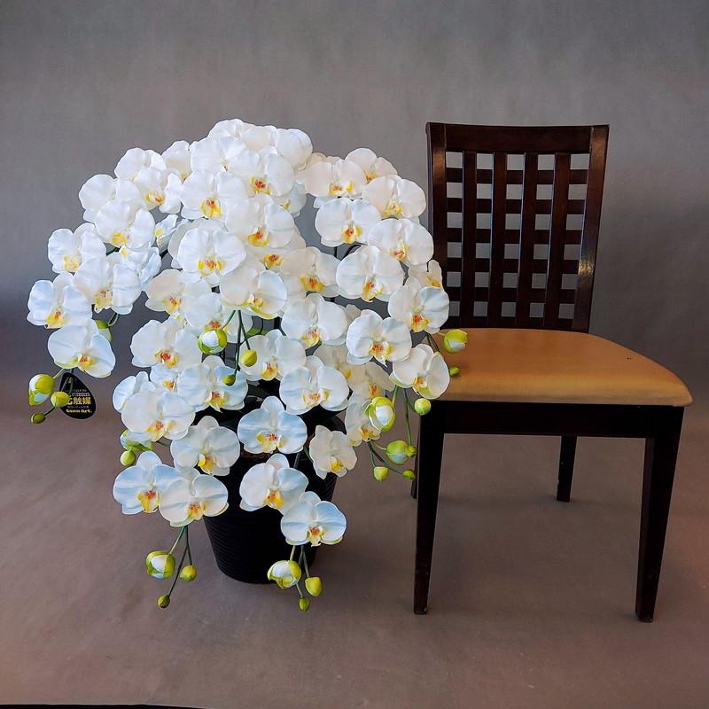 胡蝶蘭ロング白黄　５本立（高９0ｃｍ　幅６０ｃｍ）【造花・光触媒・開店祝・新築祝】 |  | 01