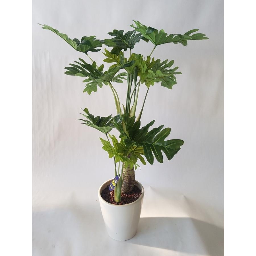 観葉植物 セローム高さ65cm幅45cm【リビングやオフイスに観葉