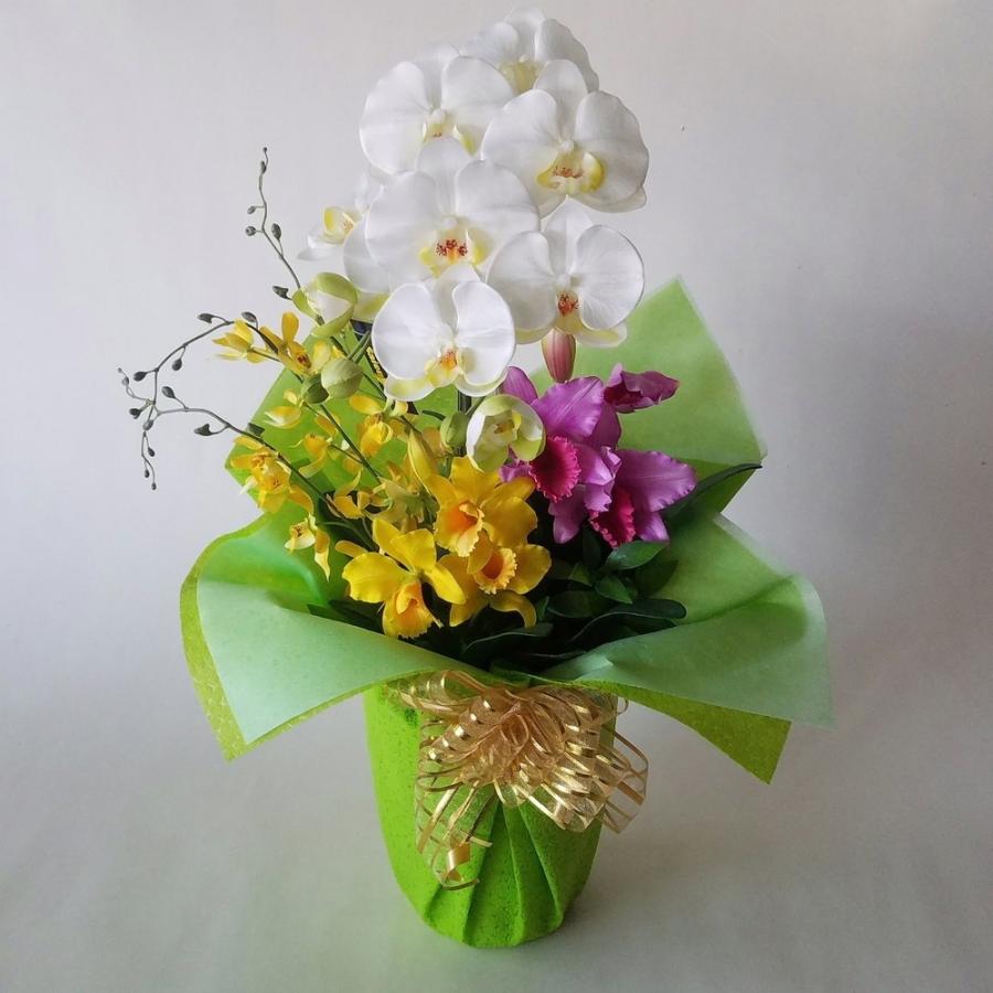 胡蝶蘭Ｍ白黄アレンジ　B1（高さ40cm）