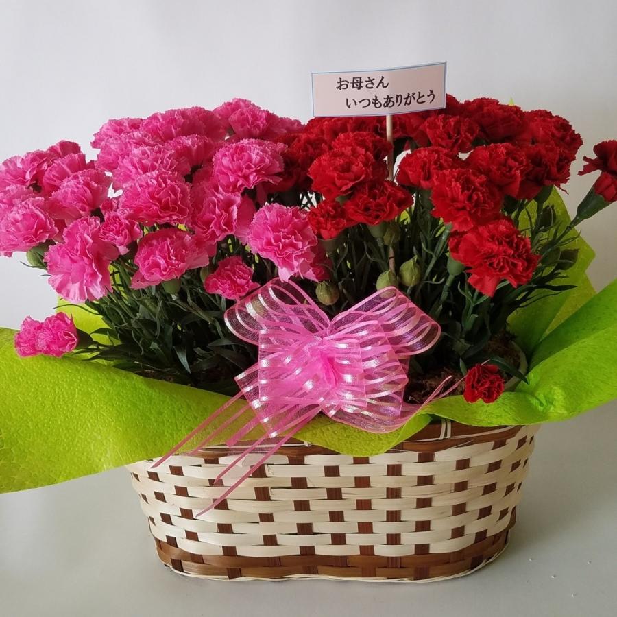 母の日、カネーショ鉢植５号２個入(赤＆ピンク)豪華セット（　高３５ｃｍ巾２５ｃｍ）、　光触媒、造花，母の日プレゼント。