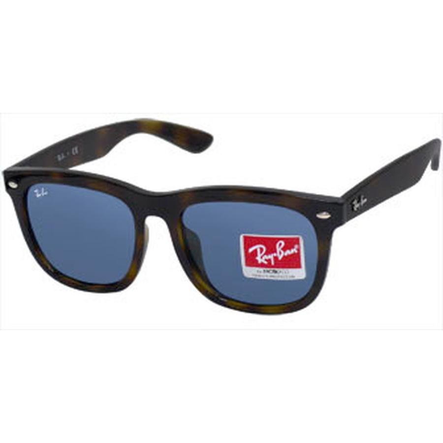 Ray-Ban RB 4260D サングラス 710/80 Ray-Ban レイバン サングラス 【正規品・箱/ケース/保証書有