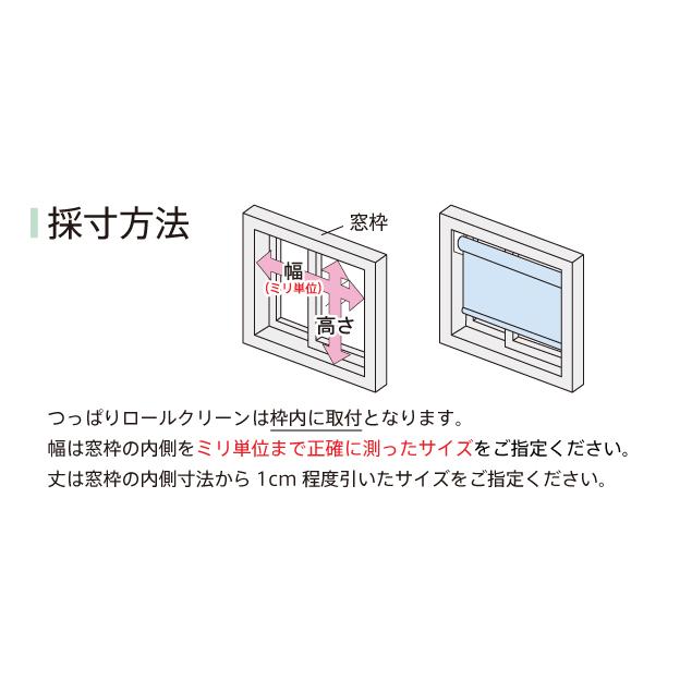 オーダー ロールスクリーン／幅25〜40cm×丈30〜90cm／つっぱり式／陽射しを遮りたいお部屋に最適な遮光2級タイプのロールスクリーン_3