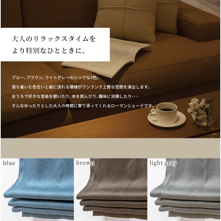 ローマンシェード／幕体のみ／重厚感のあるカラーとかすれた縦ラインの