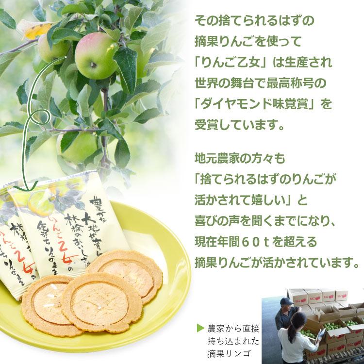 りんご乙女 4枚入 林檎 薄焼き クッキー おせんべい Ringo otome 長野