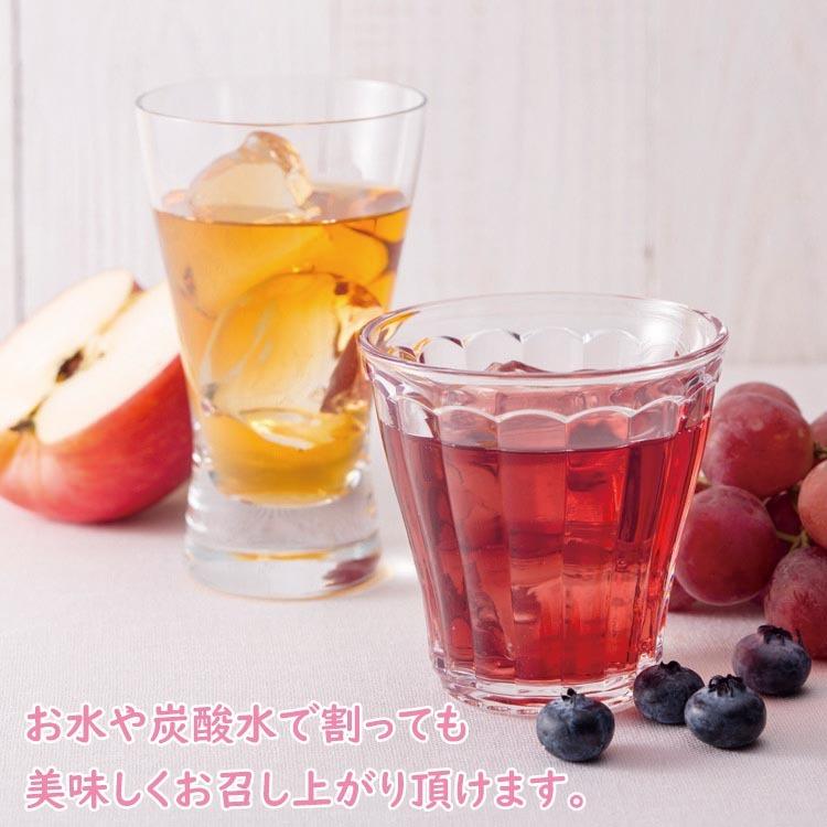 【母の日】内堀醸造 フルーツビネガー 黒酢とざくろの酢360ml×6本