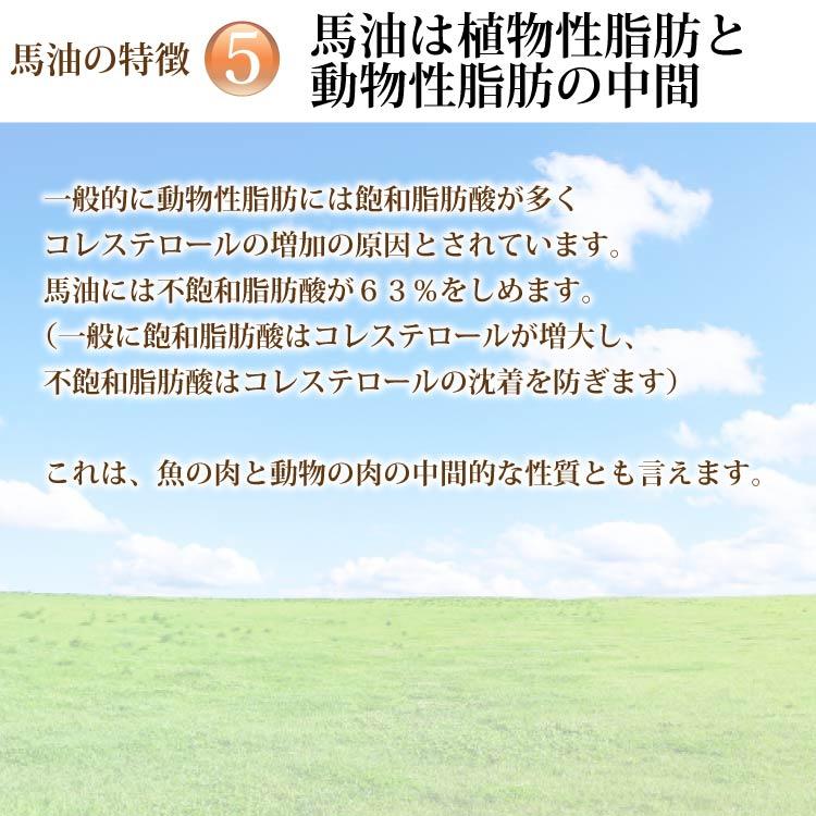 馬油シリーズ アズマ商事 馬油シャンプー 1000ml 詰替え用×2本セット
