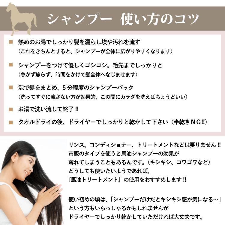 馬油シリーズ アズマ商事 馬油シャンプー 1000ml 詰替え用×2本セット