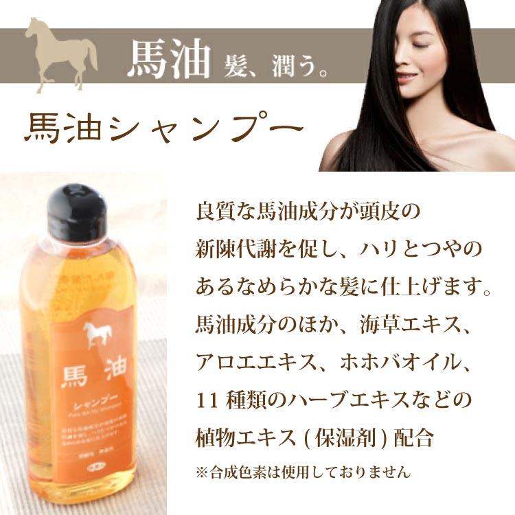 馬油シャンプー・トリートメントセット 楽天市場】馬油 シャンプー トリートメント セット 各530ml×2個