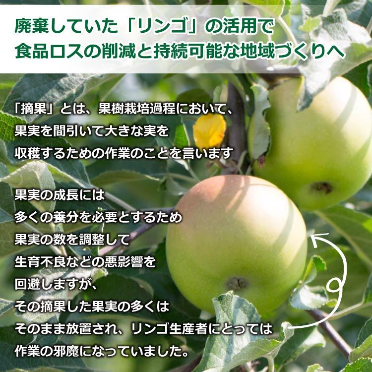 さわやか青りんご 30g×30袋 ドライフルーツ 送料無料 りんご リンゴ