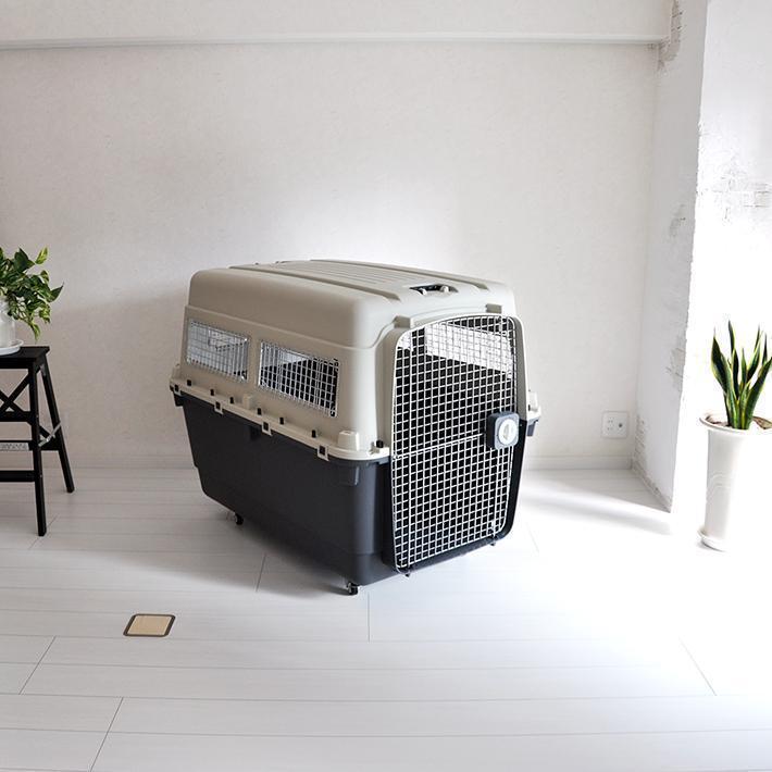 ペットキャリー DX120 3XL 大型犬 超大型犬 キャリー キャリーケース クレート ハードキャリー ※別途送料必要※返品キャンセル不可 ペットキャリー DX120 3XL 大型犬 超大型犬 キャリー キャリーケース クレート ハードキャリー 別途送料必要 返品キャンセル不可