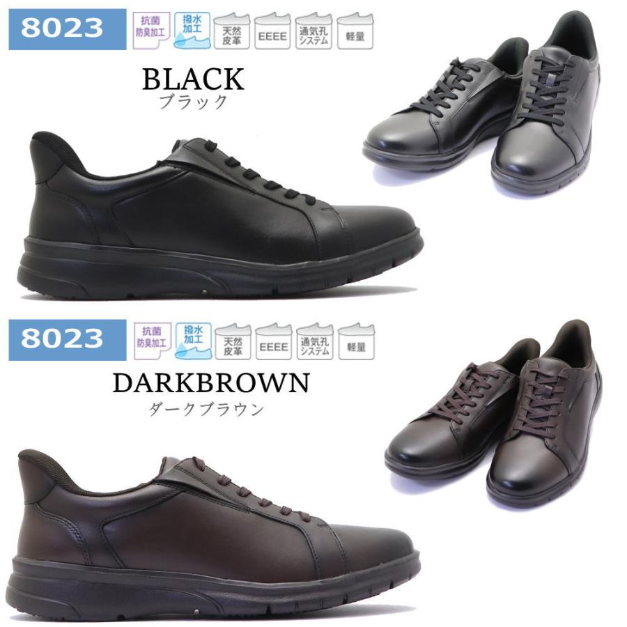 カリー、ウォリーアーズ、XXL、新品、タグ付き 国内7月23日発売予定