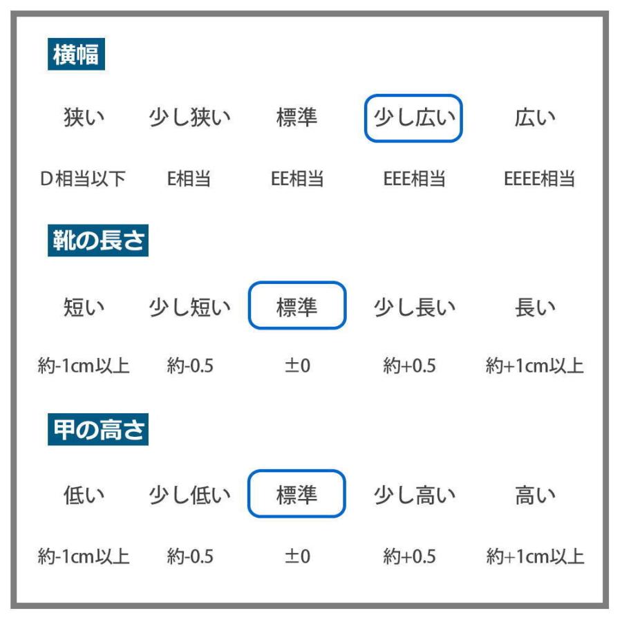 即納 (クールビズ)運動靴/Golden Bear(ゴールデンベア)マジックテープ/超軽量/行楽/旅行/カジュアルスニーカー/109｜aika0824｜05