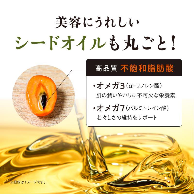 黄金の果実 養生SAJI(サジージュース) 900ml 2本セットの画像