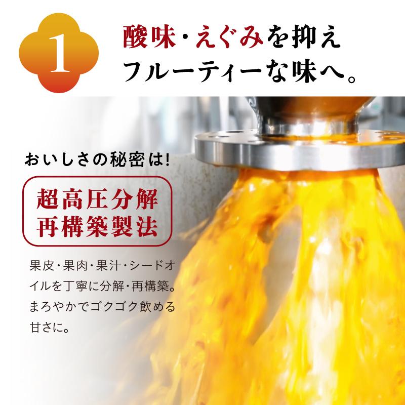 黄金の果実 養生SAJI(サジージュース) 900ml 3本セットの画像