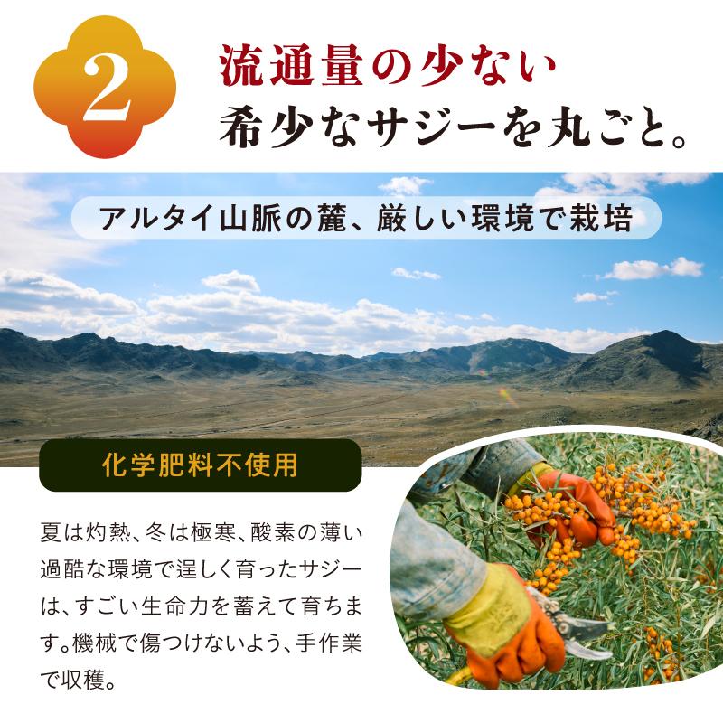 黄金の果実 養生SAJI(サジージュース) 900ml 3本セットの画像