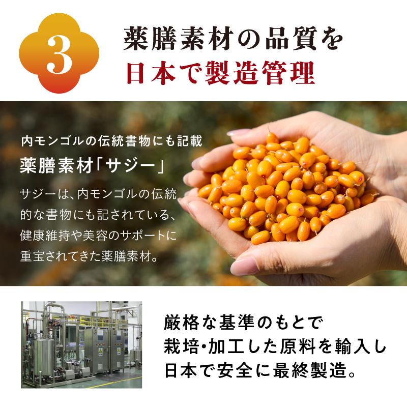 黄金の果実 養生SAJI(サジージュース) 900ml 3本セットの画像