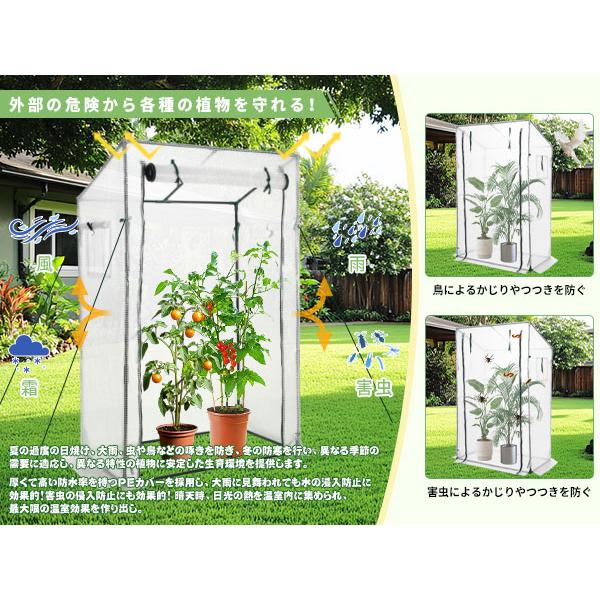 ビニールハウス 雨天気 ビニール 温室 冬 屋外飼育 2色 2点セット 幅