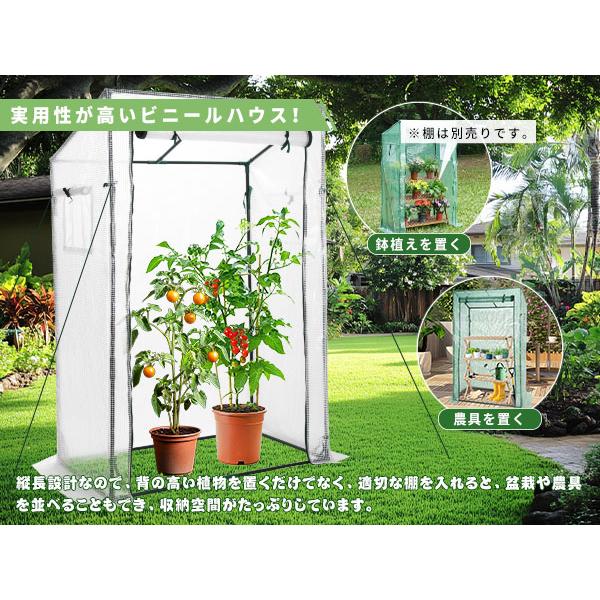 ビニールハウス 雨天気 ビニール 温室 冬 屋外飼育 2色 2点セット 幅