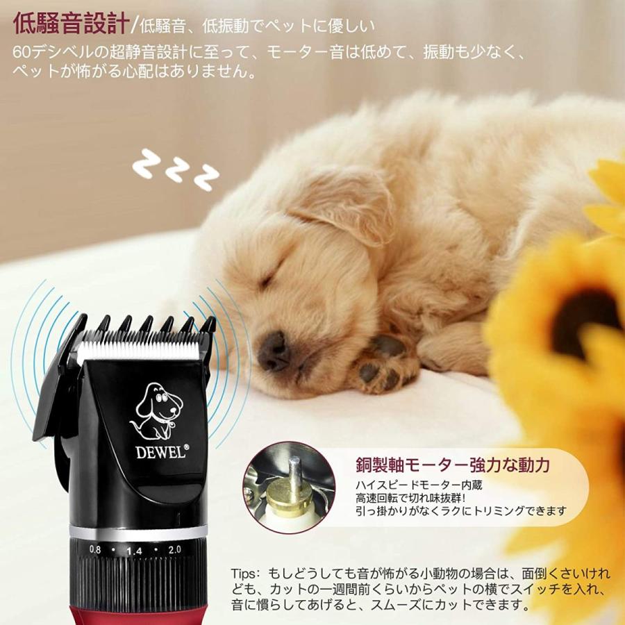 ペット用バリカン 犬シェーバー 数量限定キャンペーン DEWEL テディノ