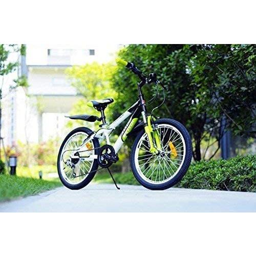 自転車 20インチ 子供自転車 Cyfie フェニース 6段変速 スタンド型 泥よけ付 組み立て式 ジュニアマウンテンバイク スポーティサドル 特別提供品