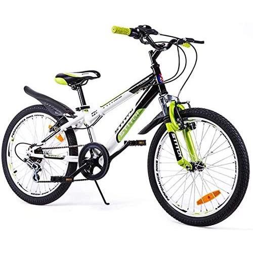 自転車 20インチ 子供自転車 Cyfie フェニース 6段変速 スタンド型 泥よけ付 組み立て式 ジュニアマウンテンバイク スポーティサドル 特別提供品 