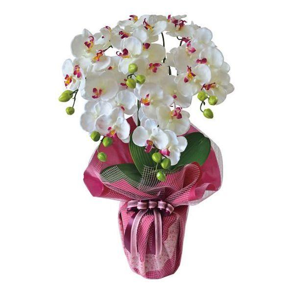 楽天ランキング1位 内祝い ギフト コチョウラン５本立て 造花 光触媒加工 ホワイト H 送料無料 沖縄 離島除く 出産内祝い 結婚 入学祝 ギフト 内祝い Jeannesauve Org