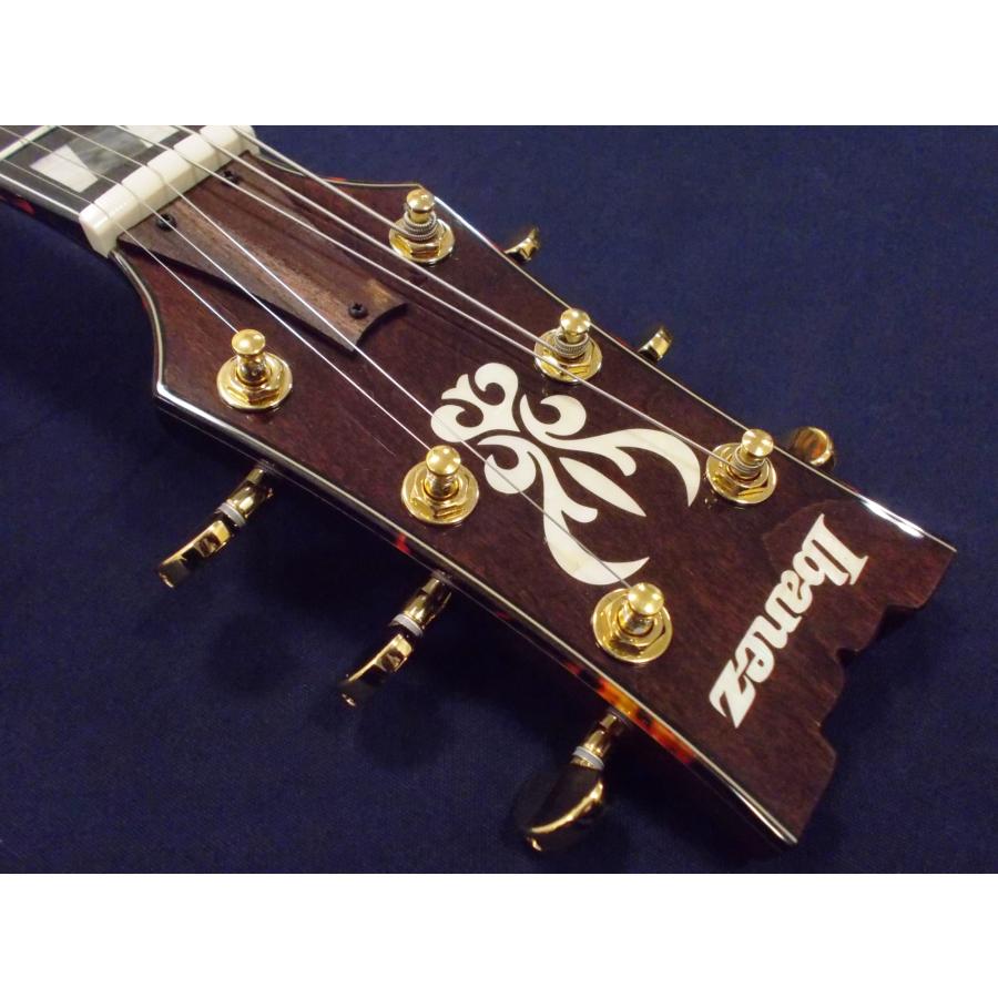 Ibanez　AMH100FM DVS AMH100FM | AM | HOLLOW BODIES | PRODUCTS | Ibanez guitars