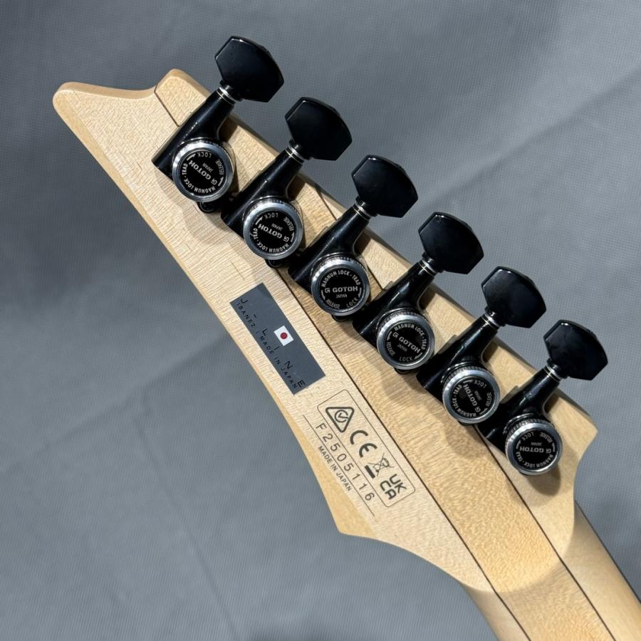 人生気晴らしさん専用　Ibanez ( アイバニーズ ) 4449EG6X 4449EG6X | CARE&CLEANING | ACCESSORIES-CARE&CLEANING