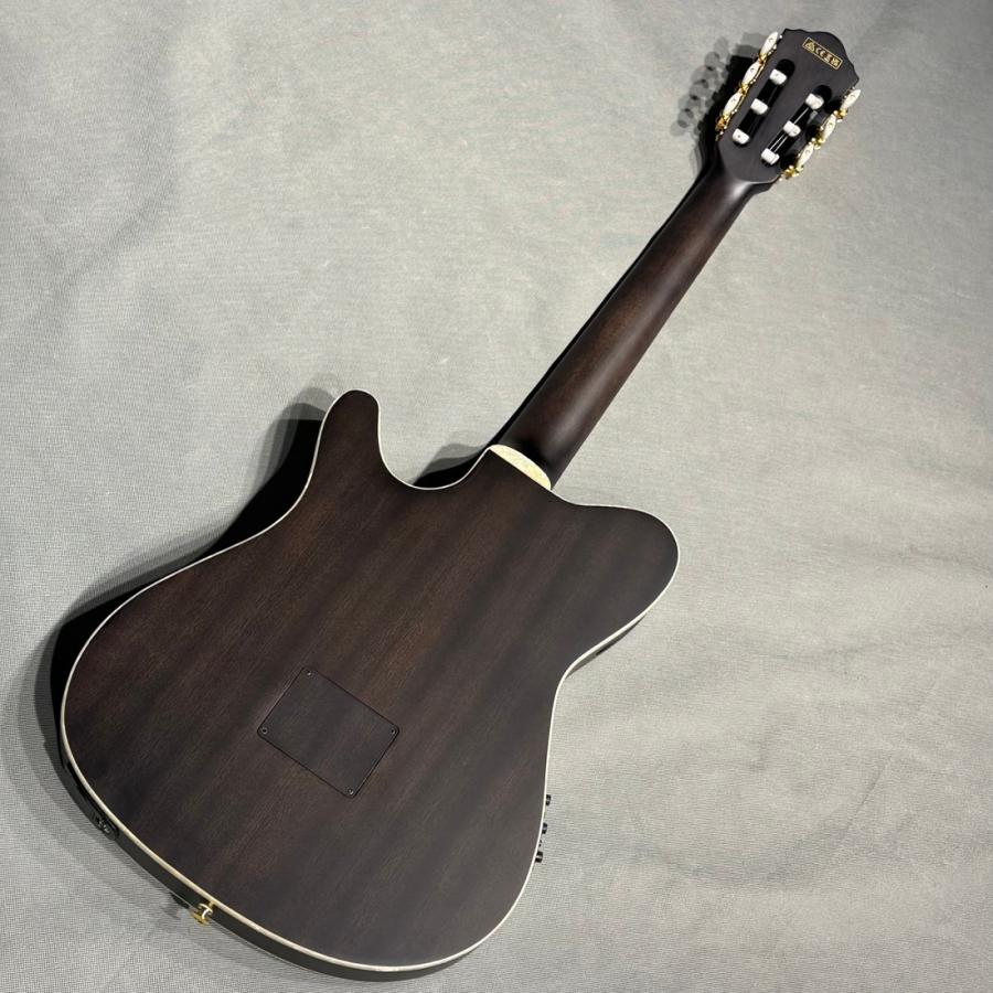 Ibanez TOD10N エレガット ナイロン エレキギター IBANEZ TOD10N-TKF Tim Henson Signature Model ナイロン弦