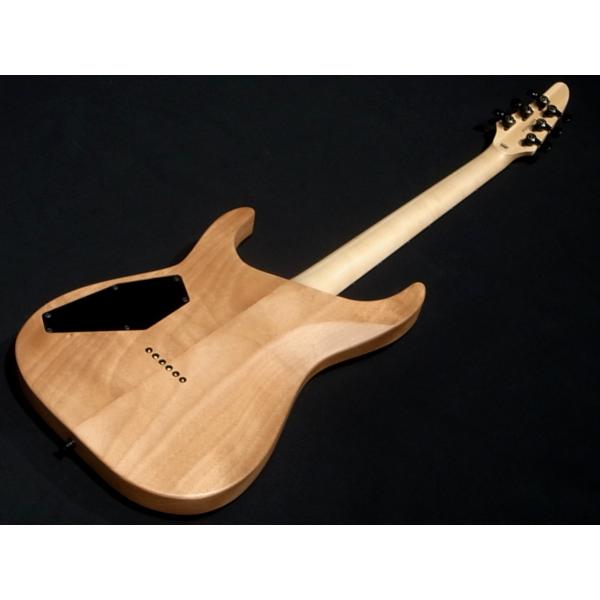 Edwards E-HR6 FIXED Burl Top Ash Black エドワーズ ホライゾン Edwards E-HR6 FIXED Burl Top Ash Black エドワーズ ホライゾン